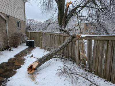 Truck loaded with removed tree branches and debris